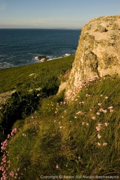 Cornwall - Photo 28