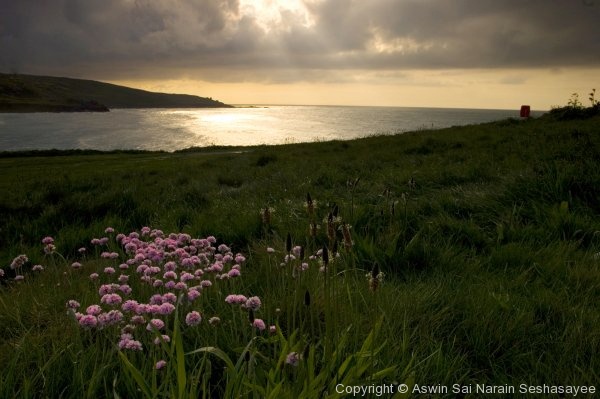 Cornwall - Photo 30