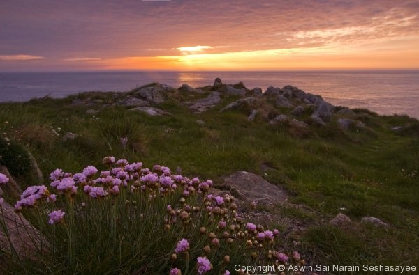 Cornwall - Photo 12